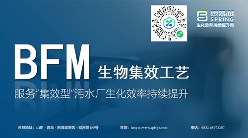 思普潤BFM生物集效工藝 賦能集效型污水廠，驅(qū)動(dòng)生化效率的持續(xù)躍升